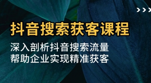 抖音搜索获客课程：深入剖析抖音搜索流量，帮助企业实现精准获客