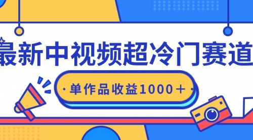 最新中视频超冷门赛道，轻松过原创，单条视频收益1000＋