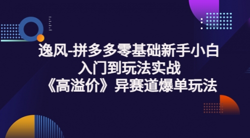 逸风-拼多多零基础新手小白入门到玩法实战《高溢价》异赛道爆单玩法实操课 