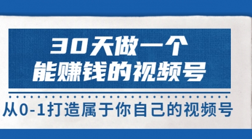 30天做一个能赚钱的视频号，从0-1打造属于你自己的视频号 (14节-价值199) 