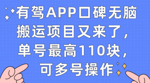 有驾APP口碑无脑搬运项目又来了，单号最高110块，可多号操作