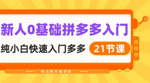 新人0基础拼多多入门，纯小白快速入门多多（21节课）