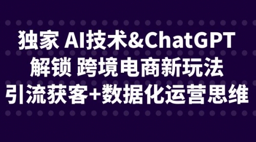 独家 AI技术&ChatGPT解锁 跨境电商新玩法，引流获客+数据化运营思维