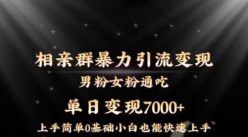 相亲群暴力引流男粉女粉通吃变现玩法，单日变现7000+保姆教学1.0