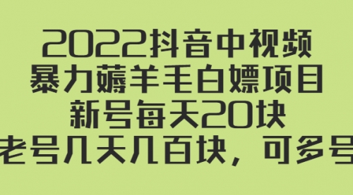 2022抖音中视频暴力薅羊毛白嫖项目：新号每天20块，老号几天几百块，可多号