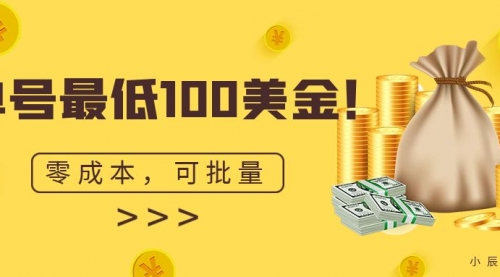 单号最低100美金，零成本，小白无脑操作