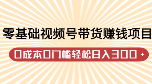 零基础视频号带货赚钱项目，0成本0门槛轻松日入300+