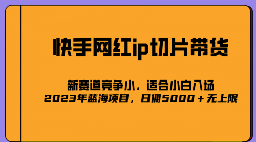 2023爆火的快手网红IP切片，号称日佣5000＋的蓝海项目，二驴的独家授权 