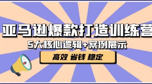 亚马逊爆款打造训练营：5大核心逻辑+案例展示 打造爆款链接 高效 省钱 稳定 