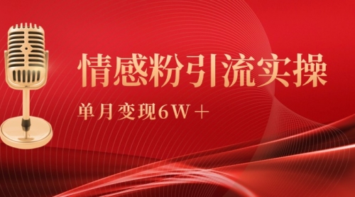 单月变现6w+，情感粉引流变现实操课