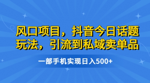 风口项目，抖音今日话题玩法，引流到私域卖单品，一部手机实现一天500+