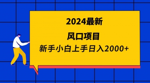 2024最新风口项目 新手小白日入2000+