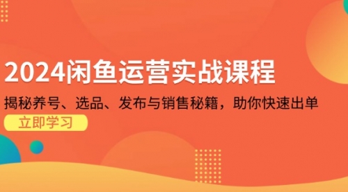 2024闲鱼运营实战课程：揭秘养号、选品、发布与销售秘籍，助你快速出单