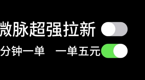 微脉超强拉新， 两分钟1单， 一单利润5块，适合小白