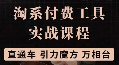 淘系付费工具实战课程【直通车、引力魔方】战略优化，实操演练（价值1299） 