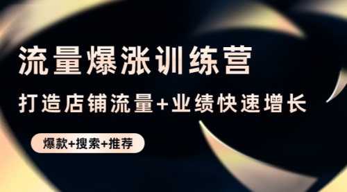 流量爆涨训练营：打造店铺流量+业绩快速增长 (爆款+搜索+推荐) 