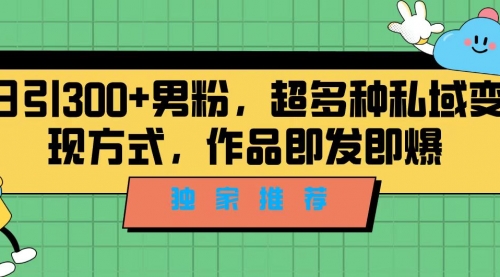 独家推荐！日引300+男粉，超多种私域变现方式