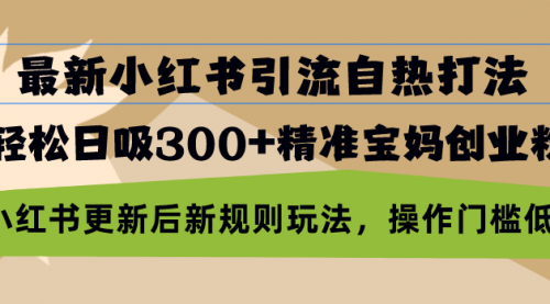 最新小红书引流自热打法，轻松日吸300+精准宝妈创业粉