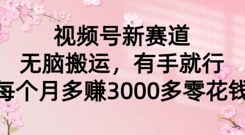 视频号新赛道，无脑搬运，有手就行，每个月多赚3000多零花钱