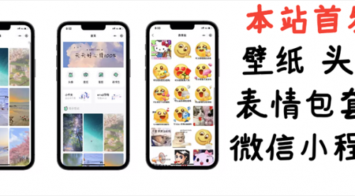 小白0基础搭建微信壁纸头像表情包小程序：一单赚几百【含源码+视频教程】