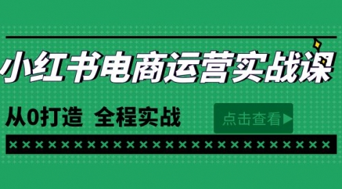 最新小红书·电商运营实战课，从0打造 全程实战（65节视频课）