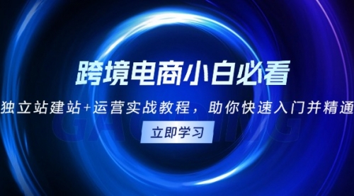 跨境电商小白必看！独立站建站+运营实战教程