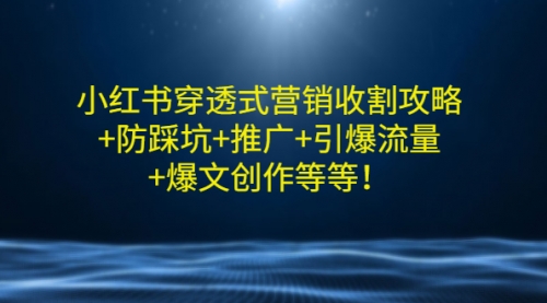 小红书穿透式营销收割攻略+防踩坑+推广+引爆流量+爆文创作等等！