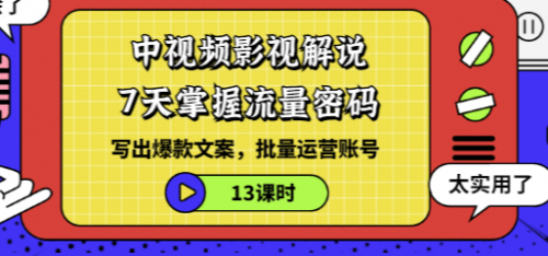 中视频影视解说：7天掌握流量密码：写出爆款文案，批量运营账号（13课时）