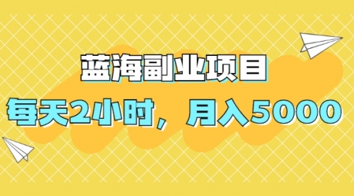 蓝海副业项目，每天2小时，月入5000，附详细操作流程