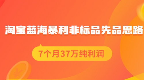 淘宝蓝海暴利非标品先品思路，7个月37万纯利润，压箱干货分享