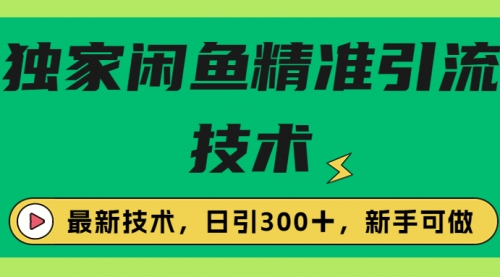 独家闲鱼引流技术，日引300＋实战玩法