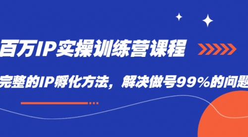 百万IP实战训练营课程，完整的IP孵化方法，解决做号99%的问题