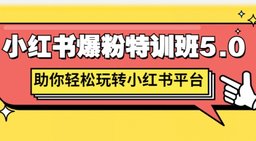 小红书爆粉特训班5.0，助你轻松玩转小红书平台价值1380元