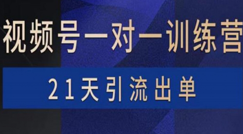 视频号训练营：带货，涨粉，直播，游戏，四大变现新方向，21天引流出单 