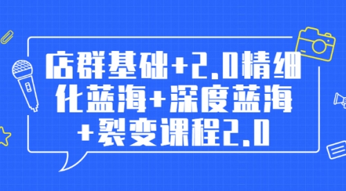 店群教程：店群基础+2.0精细化蓝海+深度蓝海+裂变课程2.0