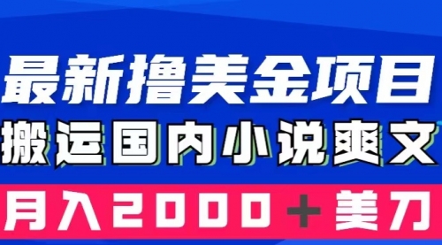 国内小说爽文搬运到国外，复制粘贴一月2000+美金