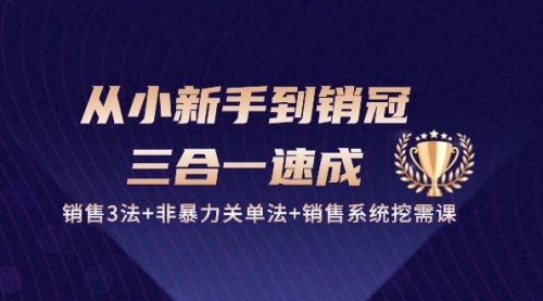 从小新手到销冠 三合一速成：销售3法+非暴力关单法+销售系统挖需课