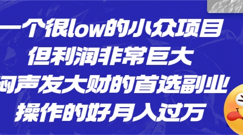 一个很low的小众项目，但利润非常巨大，闷声发大财的首选副业，月入过万