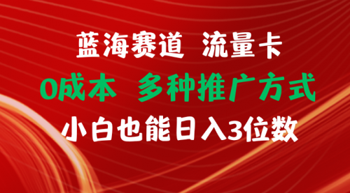 蓝海赛道 流量卡 0成本 小白也能日入三位数