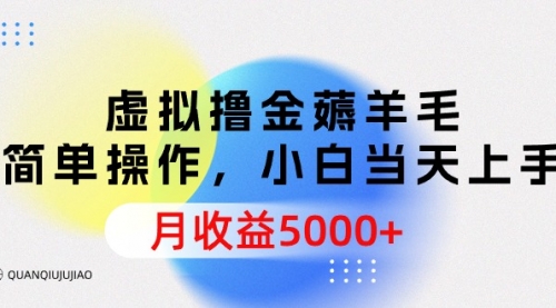 虚拟撸金薅羊毛，简单操作，小白当天上手，月收益5000+