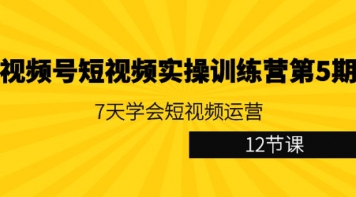 视频号短视频实操训练营第5期：7天学会短视频运营（12节课）