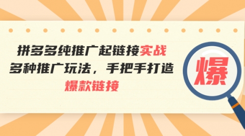 拼多多纯推广起链接实战：多种推广玩法，手把手打造爆款链接 