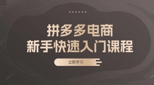 拼多多电商新手快速入门课程：涵盖基础、实战与选款，助力小白轻松上手