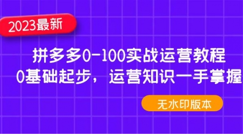 2023拼多多0-100实战运营教程，0基础起步，运营知识一手掌握 