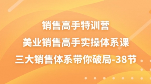 销售-高手特训营，美业-销售高手实操体系课，三大销售体系带你破局