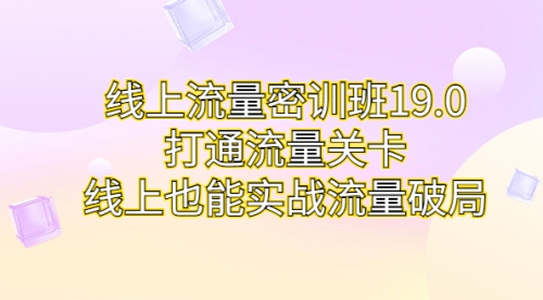 线上流量密训班19.0，打通流量关卡，线上也能实战流量破局