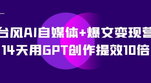 台风AI自媒体+爆文变现营，14天用GPT创作提效10倍（12节课）