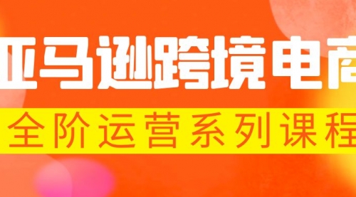 亚马逊跨境-电商全阶运营系列课程 每天10分钟，让你快速成为亚马逊运营高手 