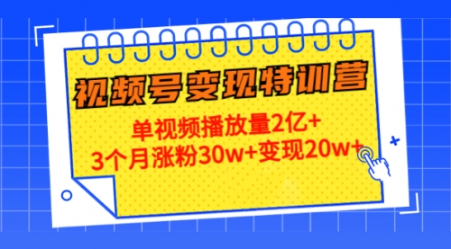 20天视频号变现特训营：单视频播放量2亿+3个月涨粉 