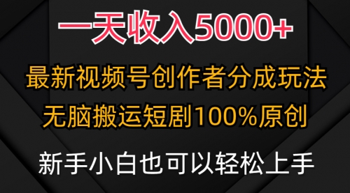 一天收入5000+，视频号创作者分成计划，最新100%原创玩法